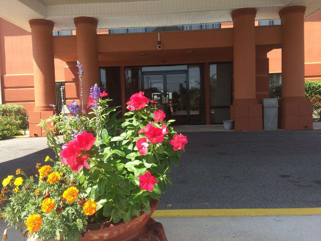Luxury Suites Ferry Pass Exterior photo